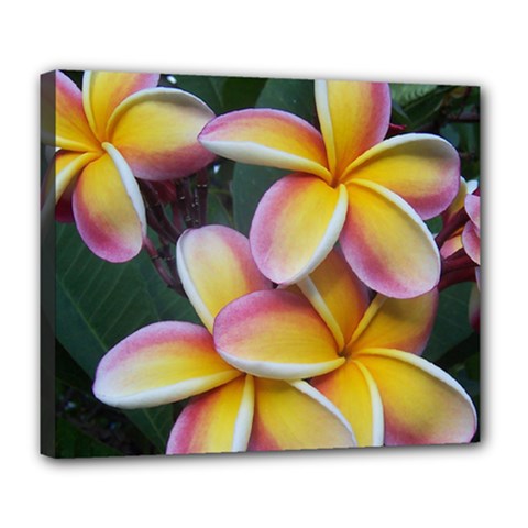 Premier Mix Flower Deluxe Canvas 24  X 20   by alohaA