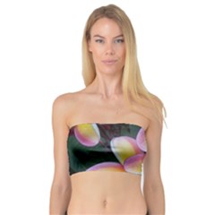 Premier Mix Flower Bandeau Top by alohaA