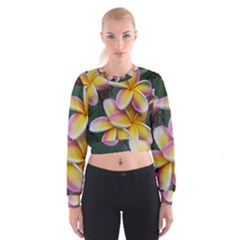 Premier Mix Flower Women s Cropped Sweatshirt by alohaA