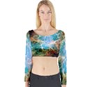Crab Nebula Long Sleeve Crop Top View1