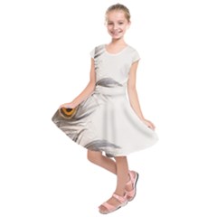 Peacock Feathery Background Kids  Short Sleeve Dress by Simbadda