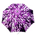 Bokeh Background In Purple Color Folding Umbrellas View1