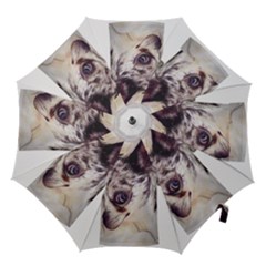 Img 1255 Hook Handle Umbrellas (medium) by shazzy