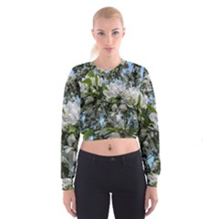 Pure And Simple 2 Cropped Sweatshirt by dawnsiegler