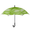 Cabbage Leaf Vegetable Green Hook Handle Umbrellas (Medium) View3