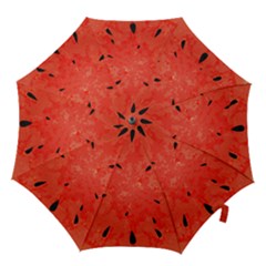 Summer Watermelon Design Hook Handle Umbrellas (medium) by TastefulDesigns