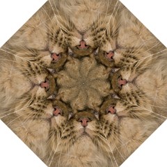 Cute Persian Catface In Closeup Hook Handle Umbrellas (medium) by BangZart