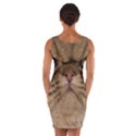 Cute Persian Catface In Closeup Wrap Front Bodycon Dress View2