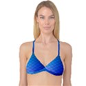 Blue Pattern Plain Cartoon Reversible Tri Bikini Top View1
