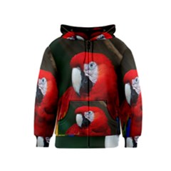 Scarlet Macaw Bird Kids  Zipper Hoodie by BangZart