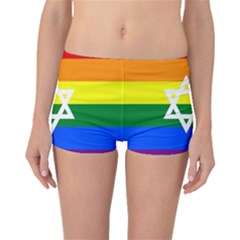 Gay Pride Israel Flag Boyleg Bikini Bottoms by Valentinaart
