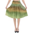 Ombre Flared Midi Skirt View1
