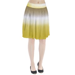 Ombre Pleated Skirt by ValentinaDesign