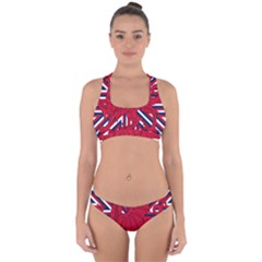 Alternatively Mega British America Red Dragon Cross Back Hipster Bikini Set by Mariart