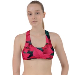 Red Poinsettia Flower Criss Cross Racerback Sports Bra by Mariart