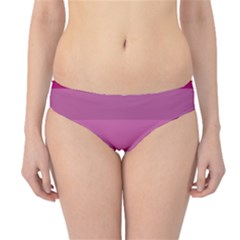 Lesbian Pride Flag Hipster Bikini Bottoms by Valentinaart