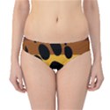 Bear Pride Flag Hipster Bikini Bottoms View1