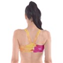 No.136 Plunge Bikini Top View2