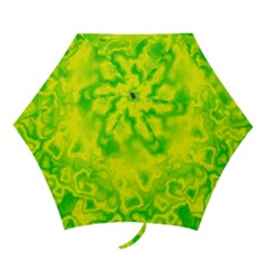 Pattern Mini Folding Umbrellas by gasi