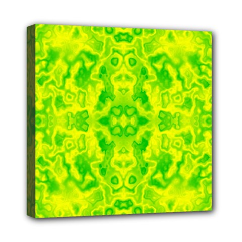 Pattern Mini Canvas 8  X 8  by gasi
