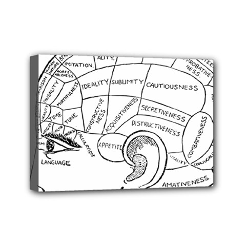 Brain Chart Diagram Face Fringe Mini Canvas 7  X 5  by Celenk