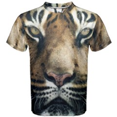 Tiger Bengal Stripes Eyes Close Men s Cotton Tee by BangZart