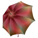 Colorful Colors Wave Gradient Hook Handle Umbrellas (Large) View2