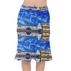 India Punjab Amritsar Sikh Mermaid Skirt by BangZart