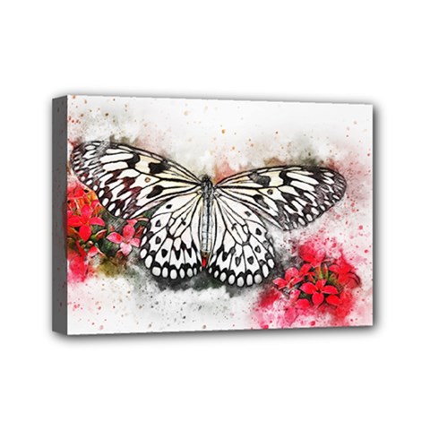 Butterfly Animal Insect Art Mini Canvas 7  X 5  by Celenk