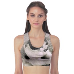 Cat Pet Art Abstract Vintage Sports Bra by Celenk
