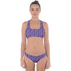Violet Grey Purple Eggs On Grey Blue Cross Back Hipster Bikini Set by snowwhitegirl
