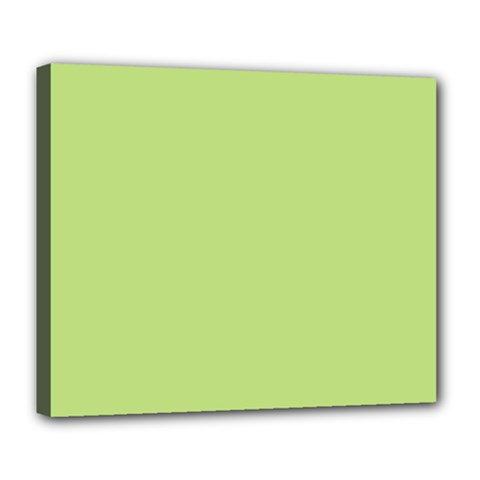 Grassy Green Deluxe Canvas 24  X 20   by snowwhitegirl