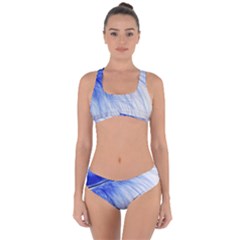 Feather Blue Colored Criss Cross Bikini Set by Nexatart