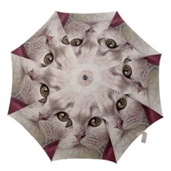 Cat Pet Cute Art Abstract Vintage Hook Handle Umbrellas (medium) by Nexatart