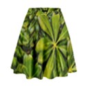Top View Leaves High Waist Skirt View1