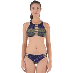 Snowy Roses Perfectly Cut Out Bikini Set by snowwhitegirl