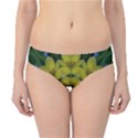 Fantasy Plumeria Decorative Real And Mandala Hipster Bikini Bottoms View1