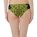Fantasy Plumeria Decorative Real And Mandala Hipster Bikini Bottoms View2