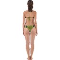 Fantasy Plumeria Decorative Real And Mandala Perfectly Cut Out Bikini Set View2