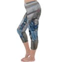 The Nobodies Capri Winter Leggings  View2