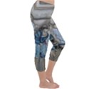 The Nobodies Capri Winter Leggings  View3