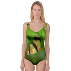 Tiger Barb Princess Tank Leotard  by trendistuff