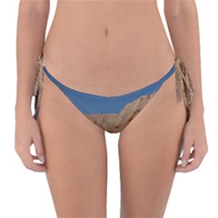 Abu Simble  Reversible Bikini Bottom by StarvingArtisan