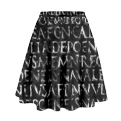Antique Roman Typographic Pattern High Waist Skirt by dflcprints