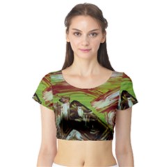 Dscf3217 - Parthenon Short Sleeve Crop Top by bestdesignintheworld