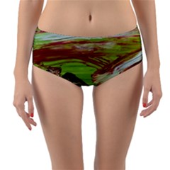 Dscf3217 - Parthenon Reversible Mid-waist Bikini Bottoms by bestdesignintheworld