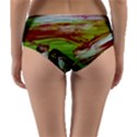 Dscf3217 - parthenon Reversible Mid-Waist Bikini Bottoms View2