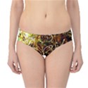 Dscf3438 - golden flowers in ceramics Hipster Bikini Bottoms View1