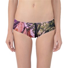 Hot Day In  Dallas 6 Classic Bikini Bottoms by bestdesignintheworld