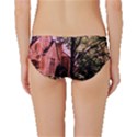 Hot Day In  Dallas 6 Classic Bikini Bottoms View2
